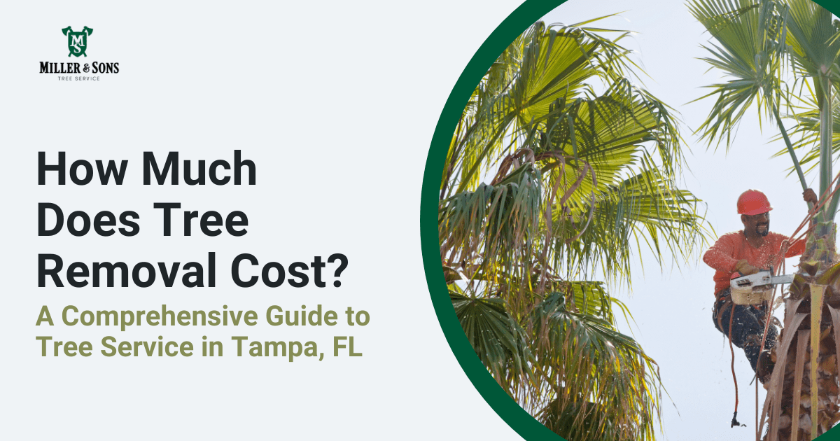 what-is-the-average-cost-for-a-tree-removal-near-you-click-for-our