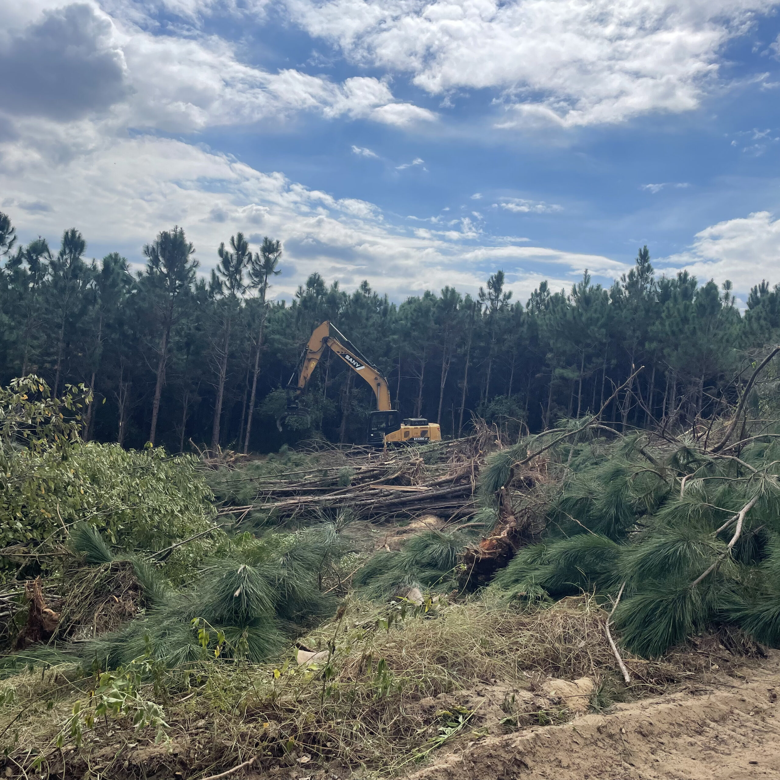 land-clearing-img