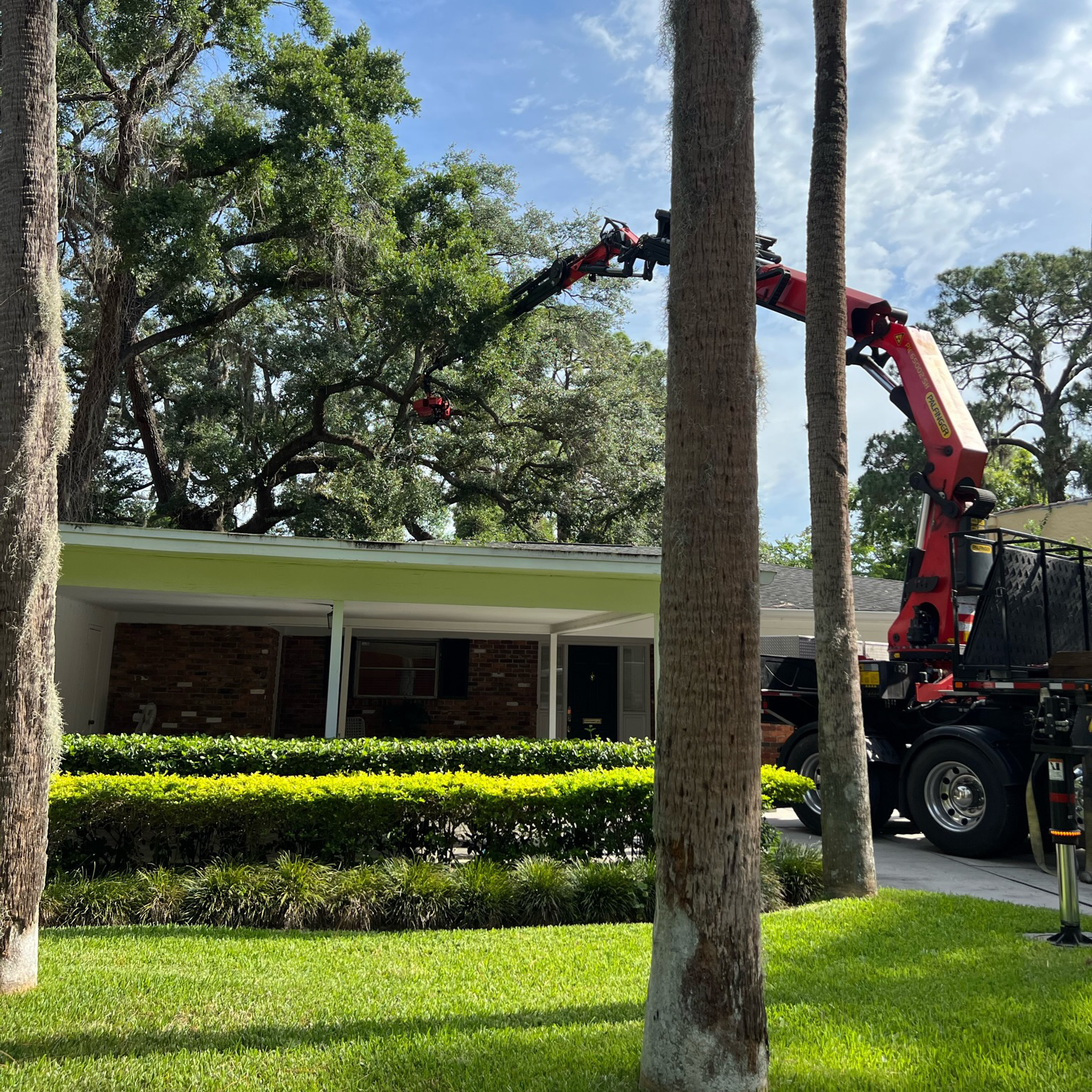 tree-services-img